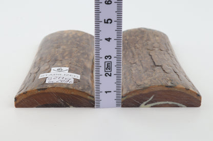 Stabilised mammoth bark scales