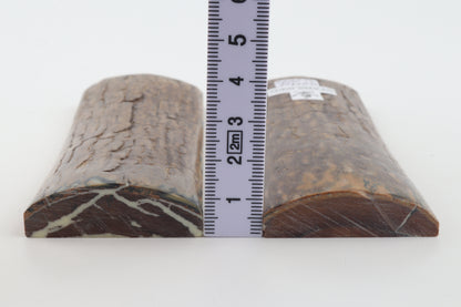 Stabilised mammoth bark scales