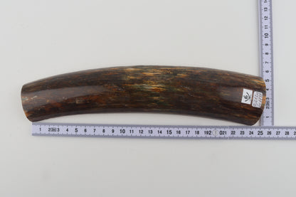 Brown-green mammoth bark