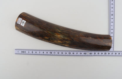 Brown-green mammoth bark