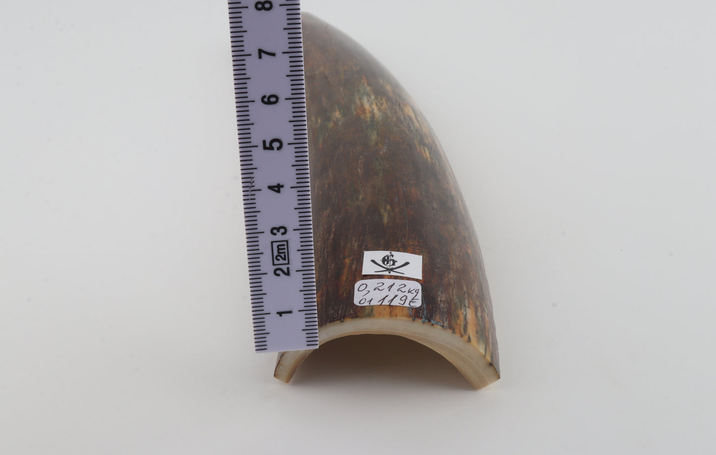 Brown-green mammoth bark