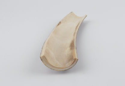 Brown-green mammoth bark