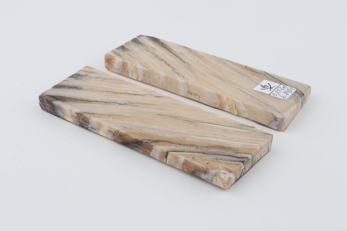 Stabilized mammoth molar scales