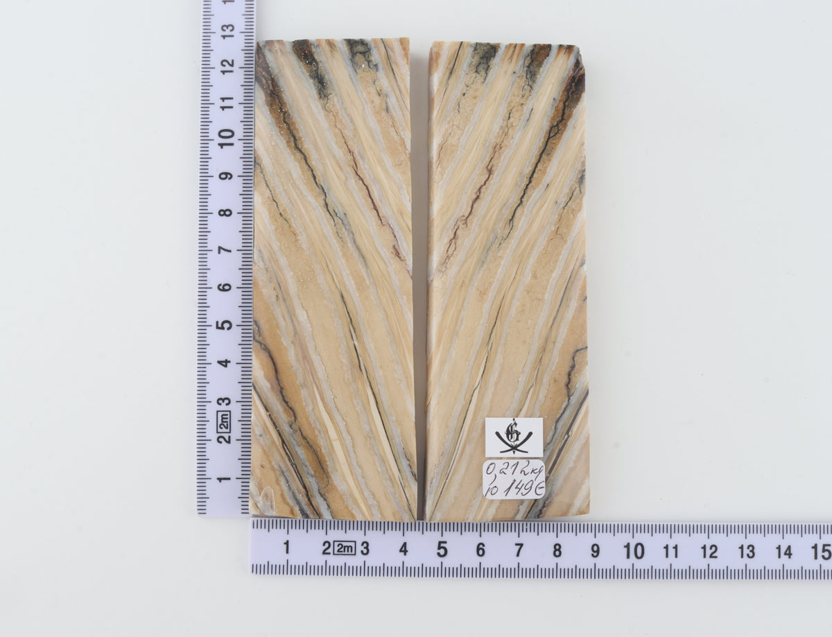 Stabilized mammoth molar scales