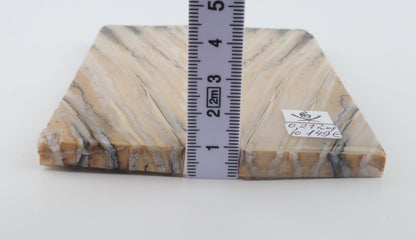Stabilized mammoth molar scales