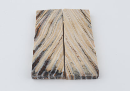 Stabilized mammoth molar scales