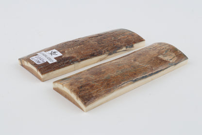 Stabilised mammoth bark scales