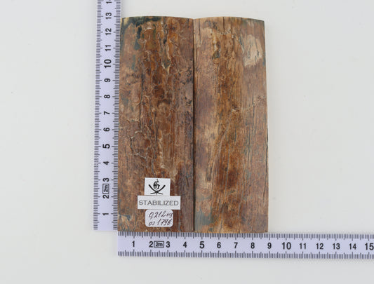 Stabilised mammoth bark scales