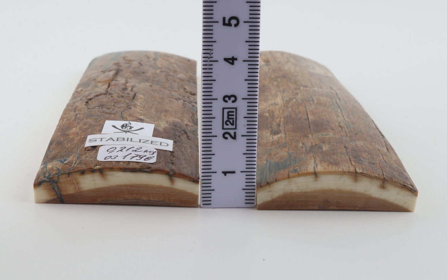 Stabilised mammoth bark scales
