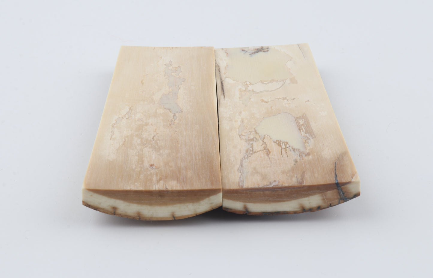 Stabilised mammoth bark scales