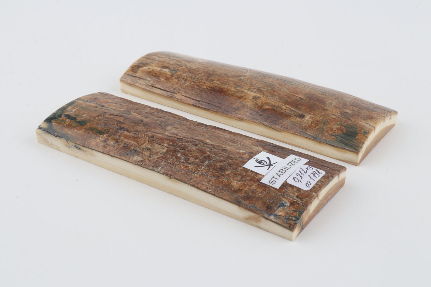 Stabilised mammoth bark scales
