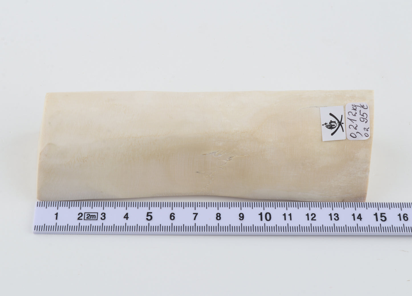 Natural white mammoth ivory piece