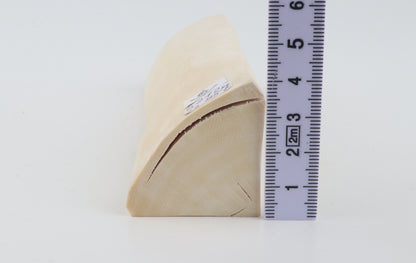 Natural white mammoth ivory piece