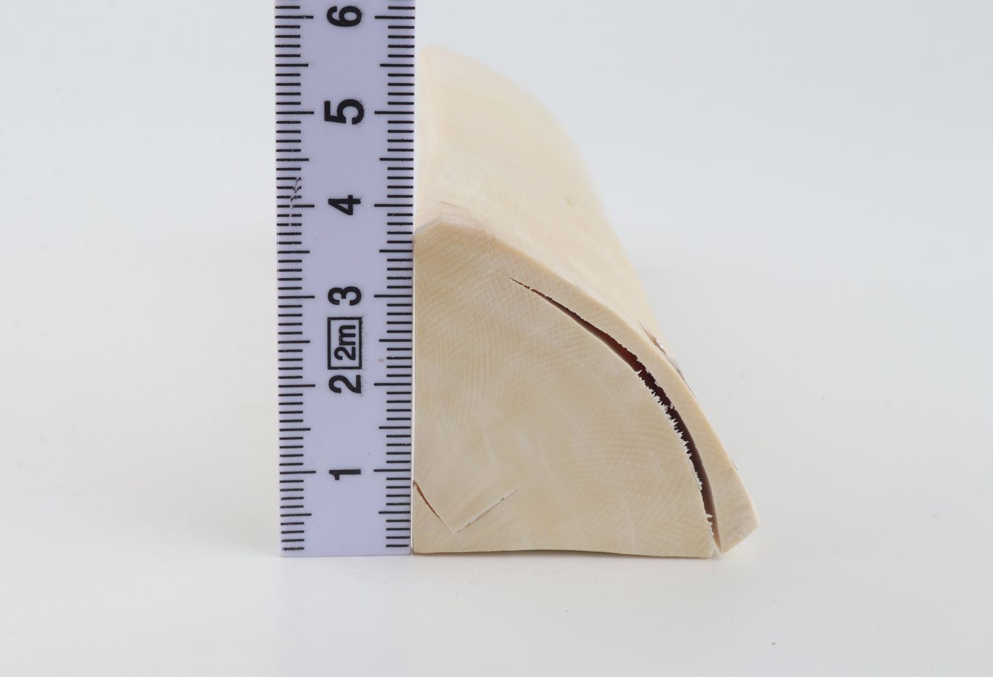 Natural white mammoth ivory piece