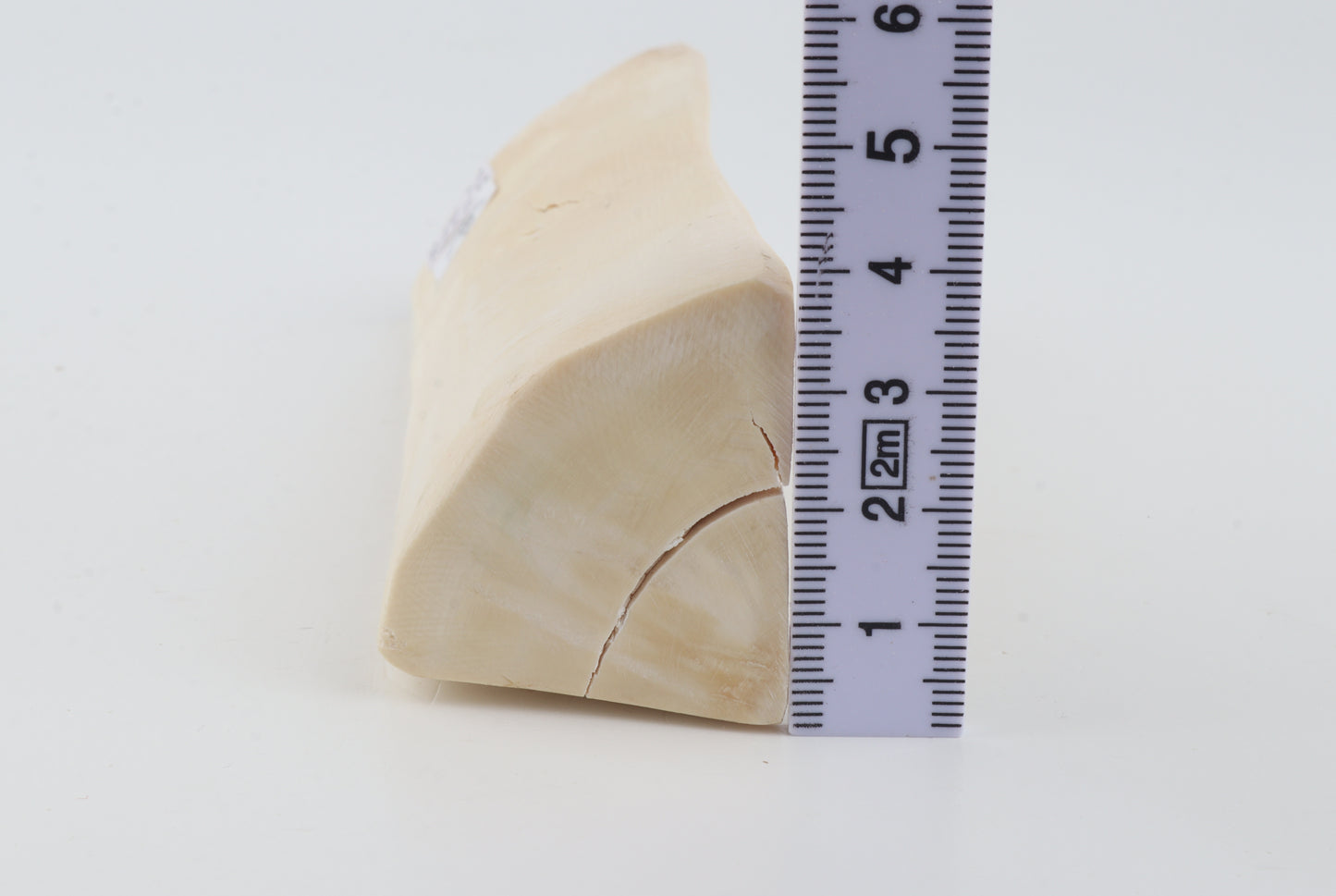 Natural white mammoth ivory piece