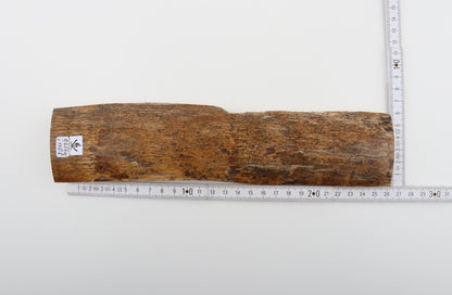 Beige-yellow mammoth bark