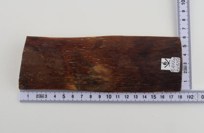 Brown-caramel mammoth bark
