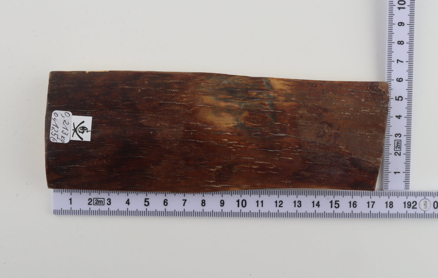 Brown-caramel mammoth bark