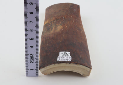 Brown-caramel mammoth bark