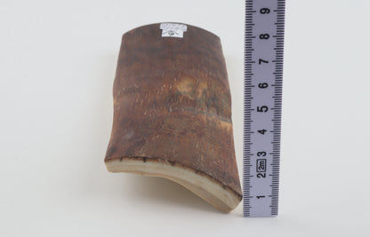 Brown-caramel mammoth bark