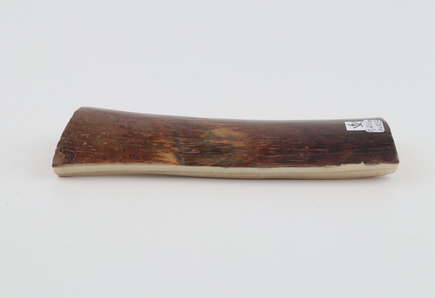Brown-caramel mammoth bark