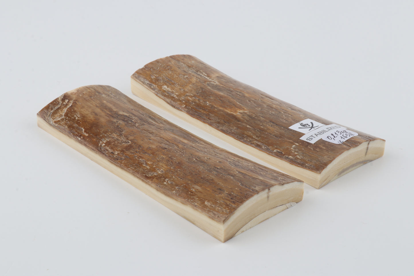 Stabilised mammoth bark scales