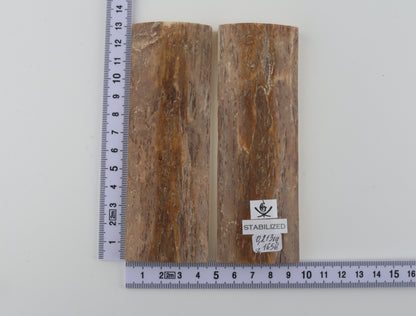 Stabilised mammoth bark scales