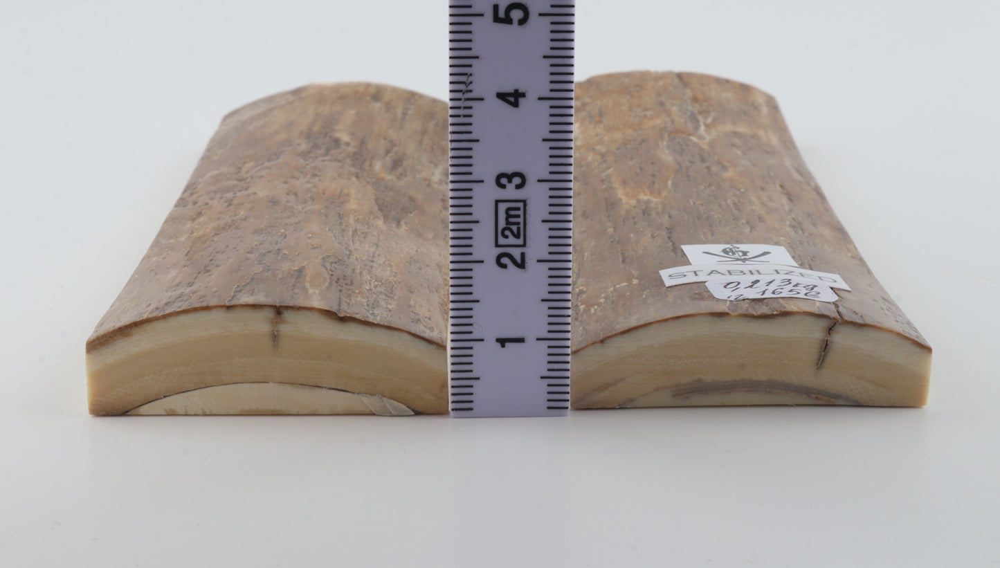 Stabilised mammoth bark scales