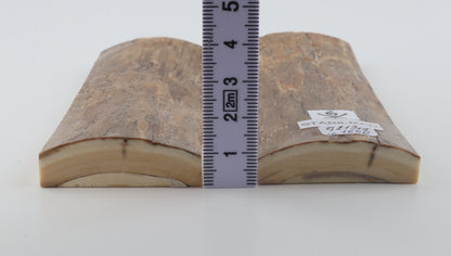 Stabilised mammoth bark scales