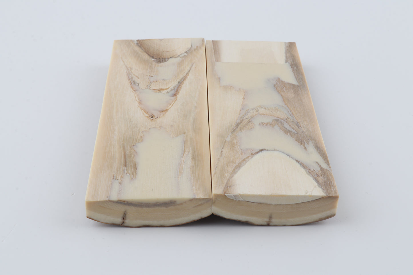 Stabilised mammoth bark scales