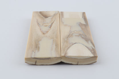 Stabilised mammoth bark scales