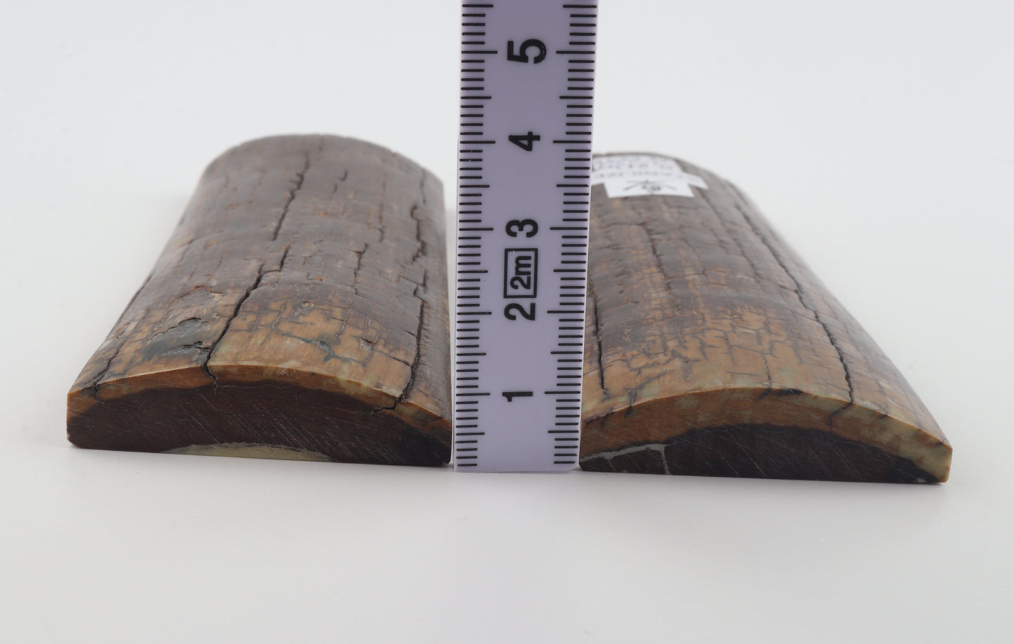 Stabilized mammoth bark scales