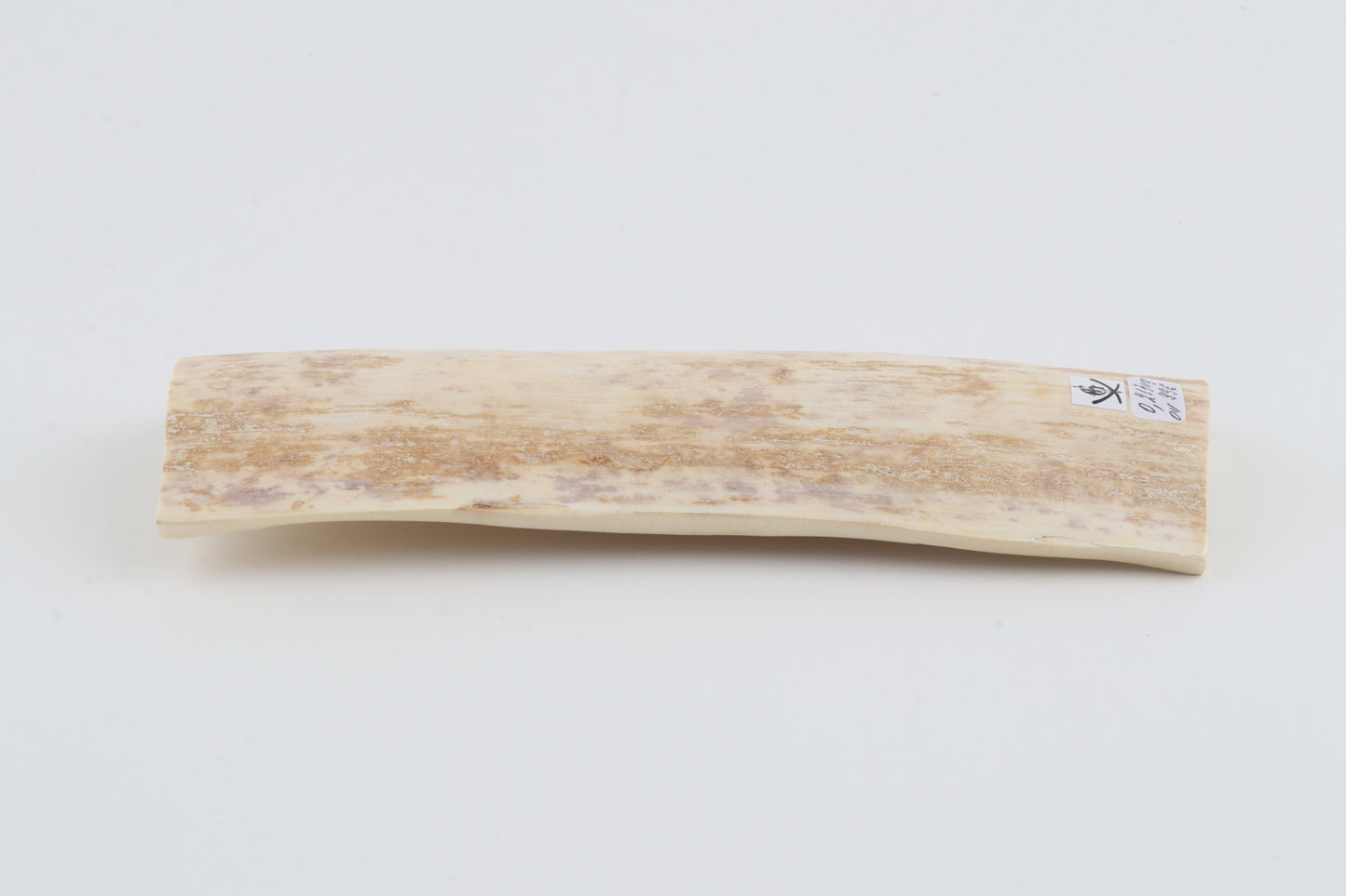 White mammoth bark