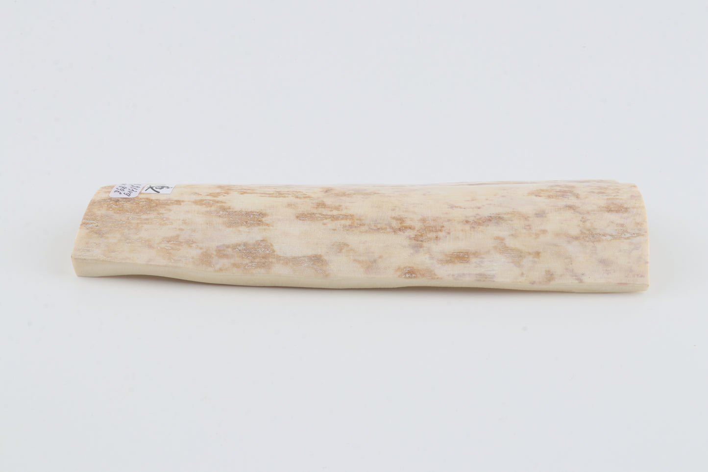 White mammoth bark