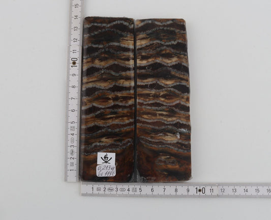 Stabilised mammoth molar scales