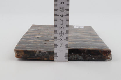 Stabilised mammoth molar scales