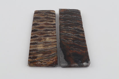 Stabilised mammoth molar scales