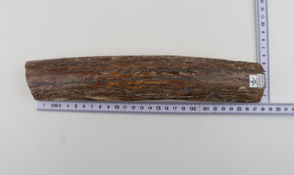 Beige-caramel mammoth bark