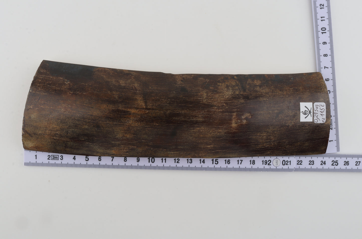 Natural woolly mammoth bark