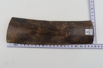 Natural woolly mammoth bark