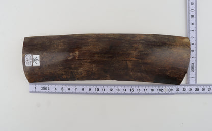 Natural woolly mammoth bark