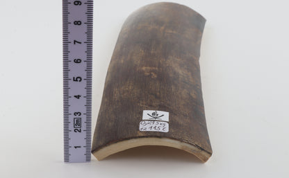 Natural woolly mammoth bark