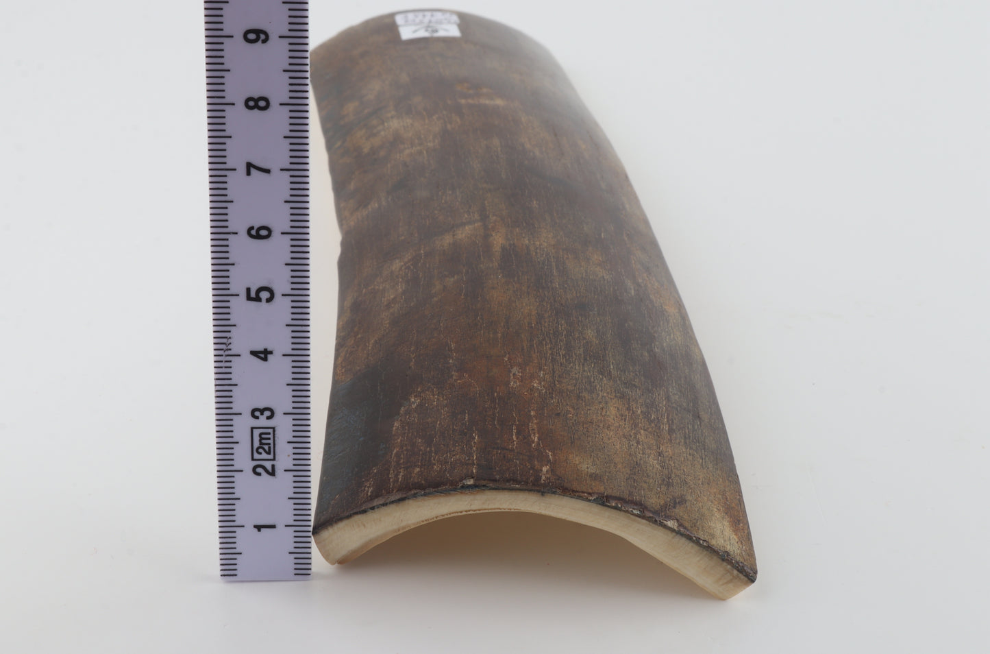 Natural woolly mammoth bark