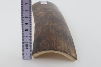 Natural woolly mammoth bark