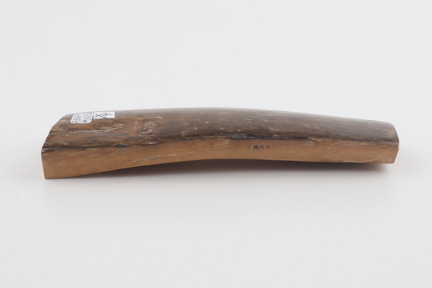 Brown mammoth bark