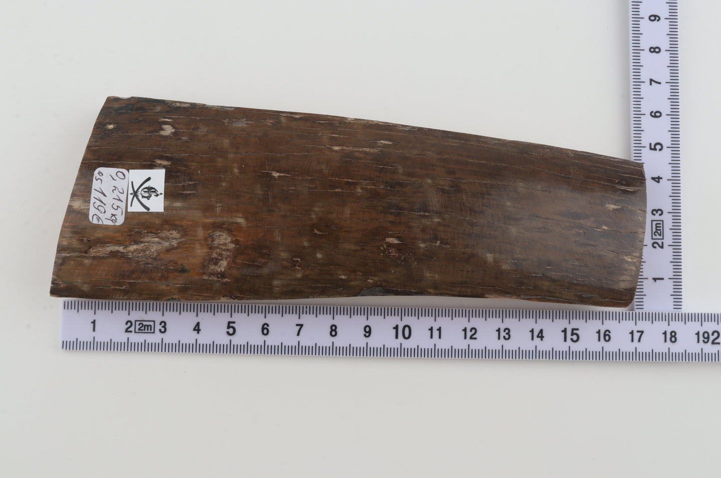 Brown mammoth bark