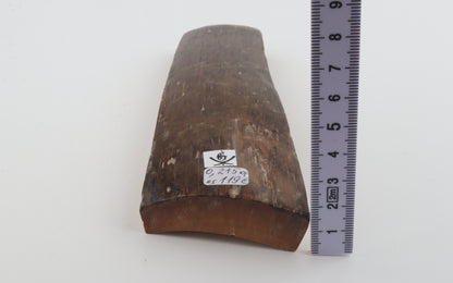 Brown mammoth bark