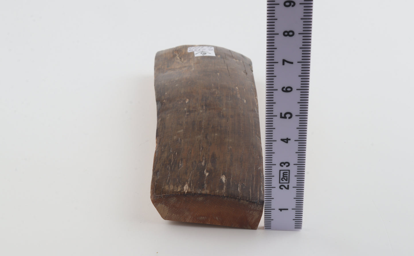 Brown mammoth bark