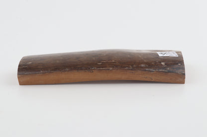 Brown mammoth bark