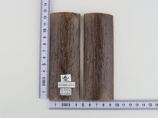 Stabilized mammoth bark scales
